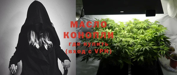 гидра Надым