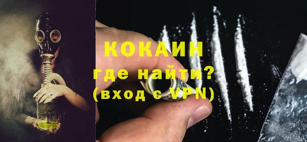 гидра Надым