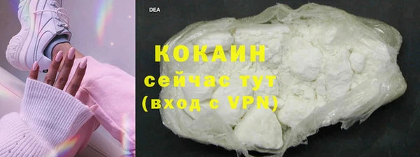 гидра Надым