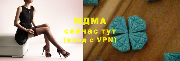 гидра Надым