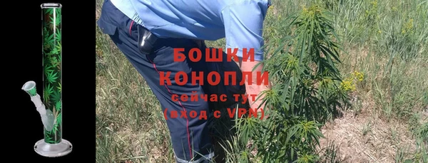 гидра Надым